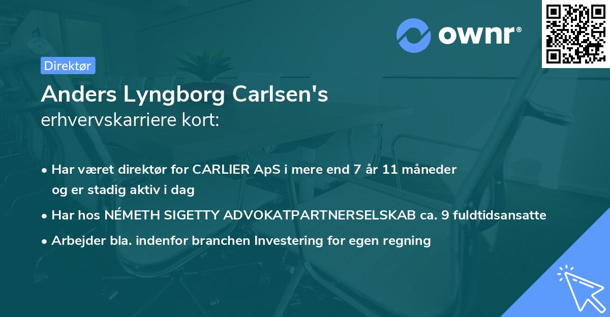 Anders Lyngborg Carlsen's erhvervskarriere kort