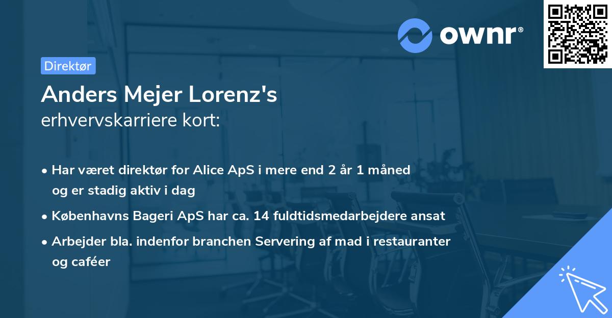 Anders Mejer Lorenz's erhvervskarriere kort