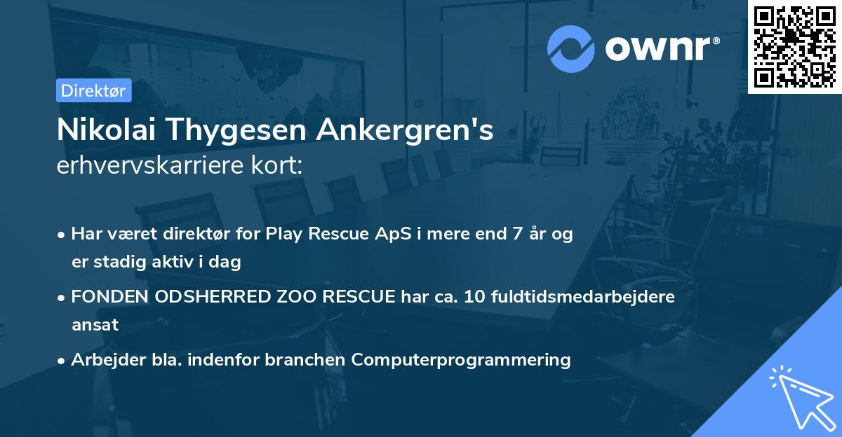 Nikolai Thygesen Ankergren's erhvervskarriere kort