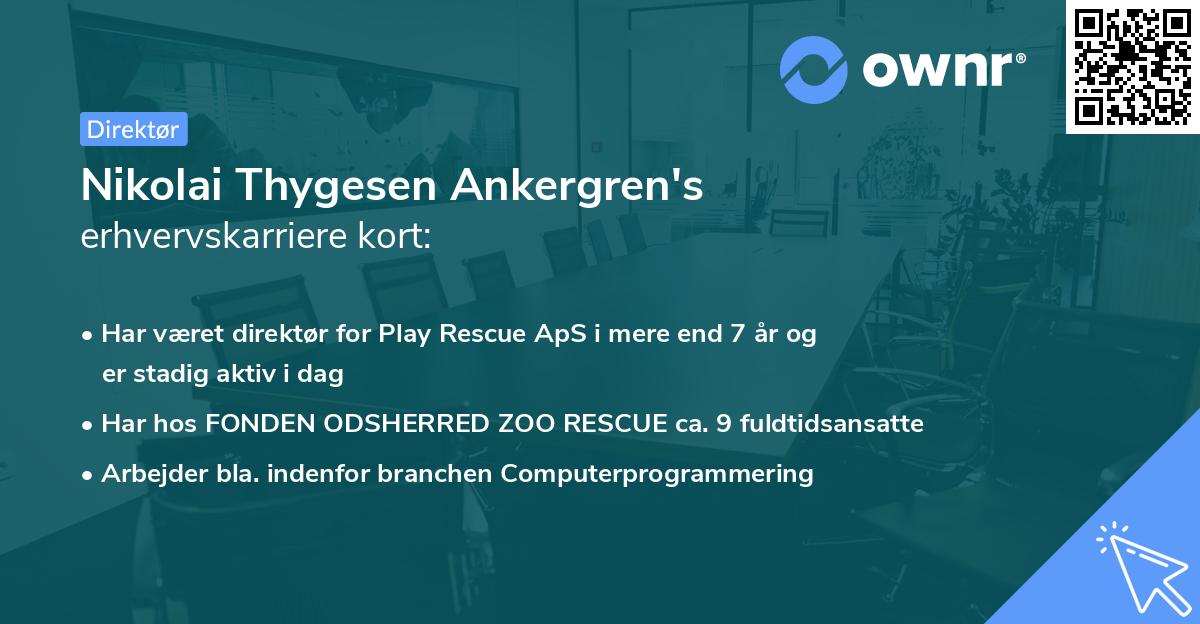Nikolai Thygesen Ankergren's erhvervskarriere kort