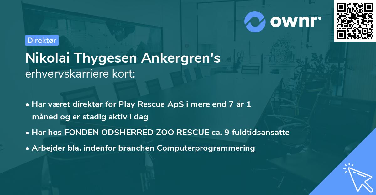 Nikolai Thygesen Ankergren's erhvervskarriere kort