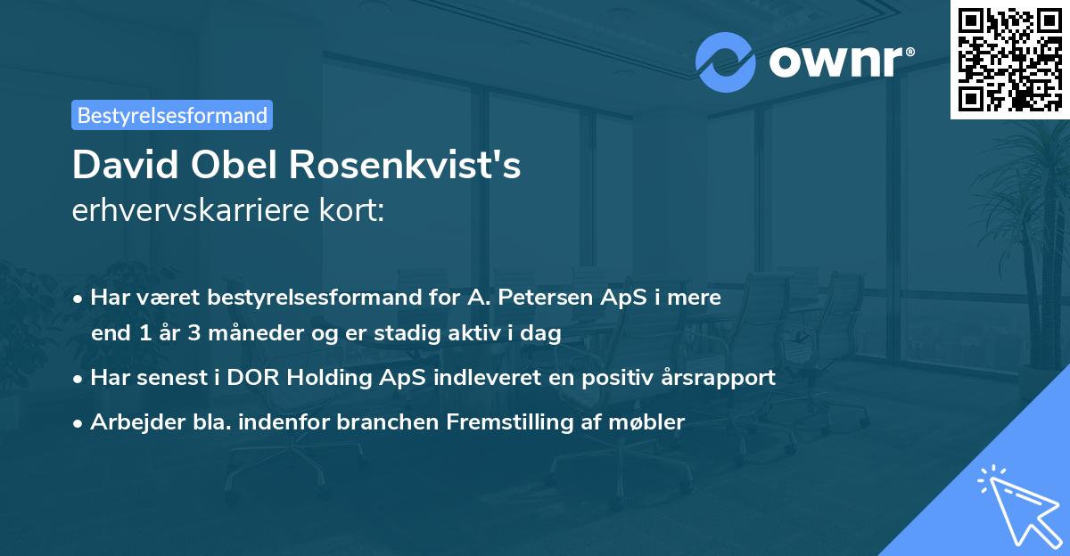 David Obel Rosenkvist's erhvervskarriere kort