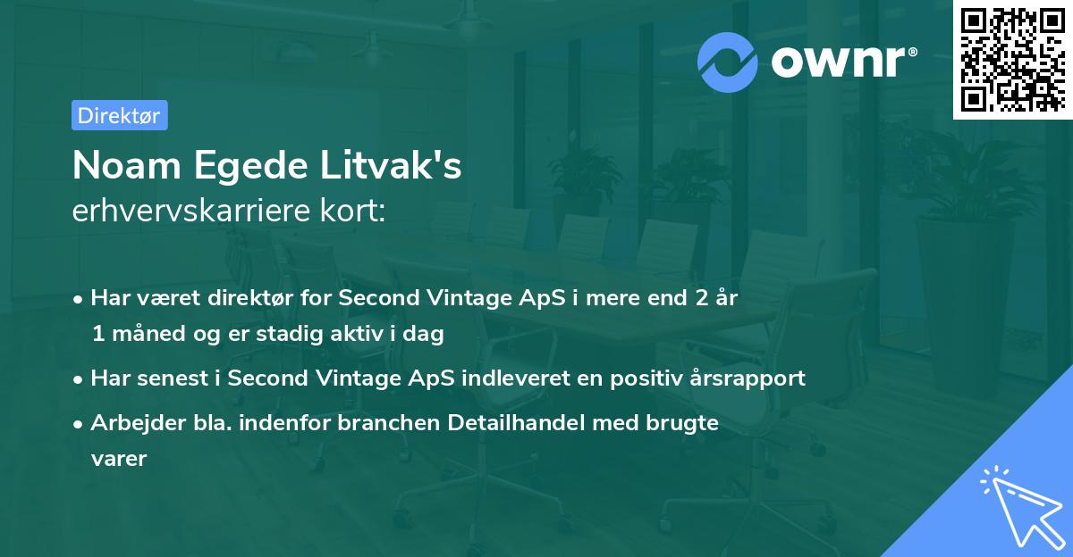 Noam Egede Litvak's erhvervskarriere kort