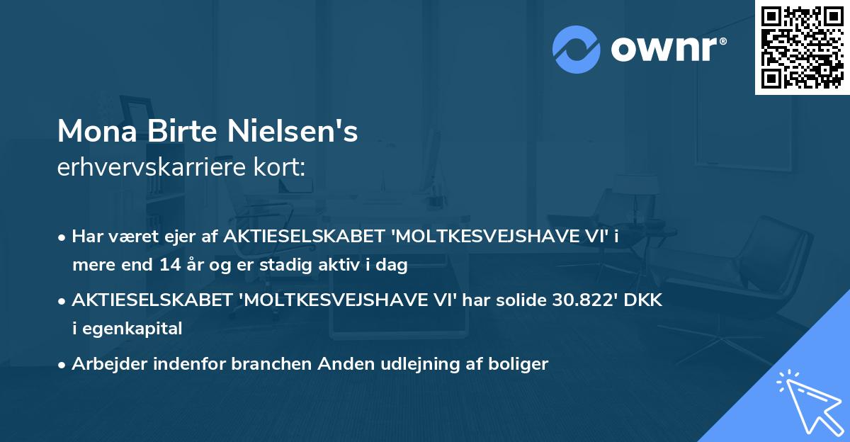 Mona Birte Nielsen's erhvervskarriere kort