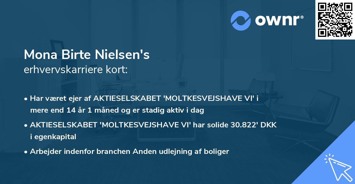 Mona Birte Nielsen's erhvervskarriere kort