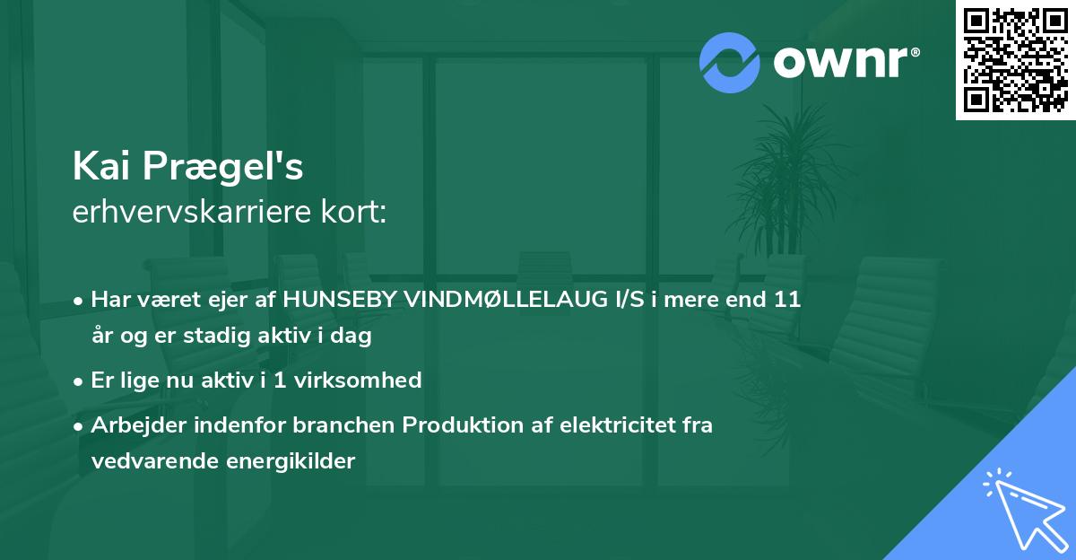 Kai Prægel's erhvervskarriere kort