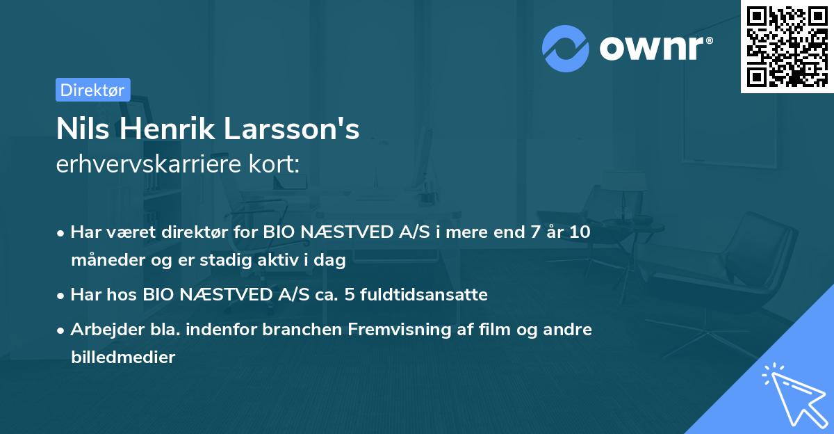 Nils Henrik Larsson's erhvervskarriere kort