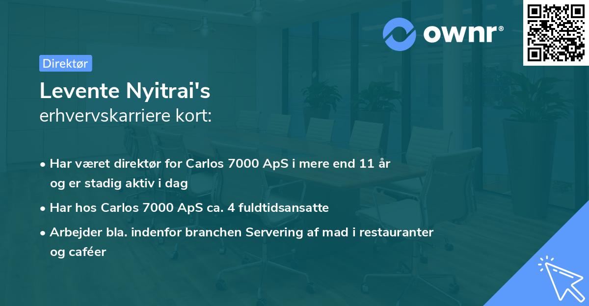Levente Nyitrai's erhvervskarriere kort