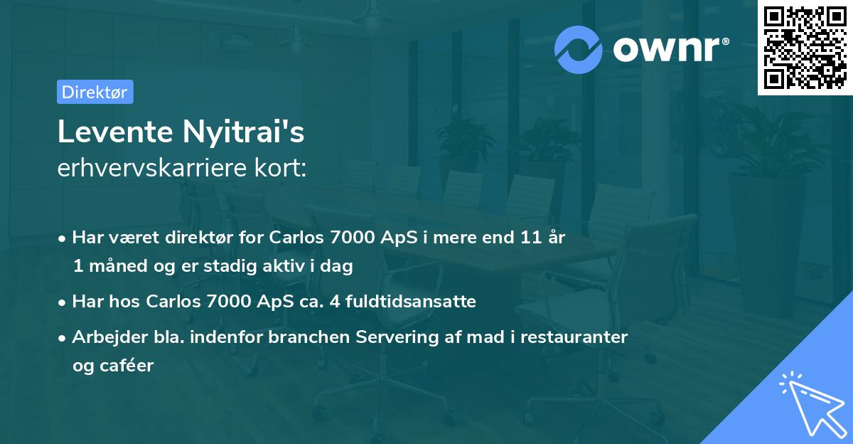 Levente Nyitrai's erhvervskarriere kort