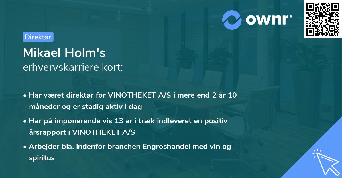 Mikael Holm's erhvervskarriere kort