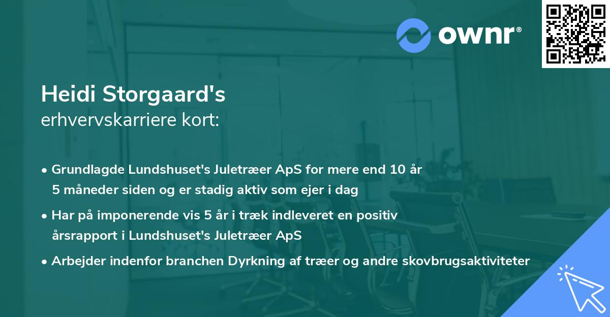 Heidi Storgaard's erhvervskarriere kort