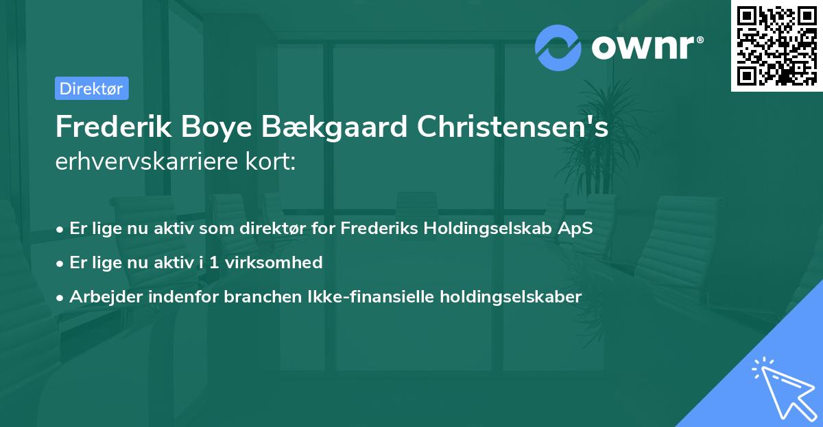 Frederik Boye Bækgaard Christensen's erhvervskarriere kort