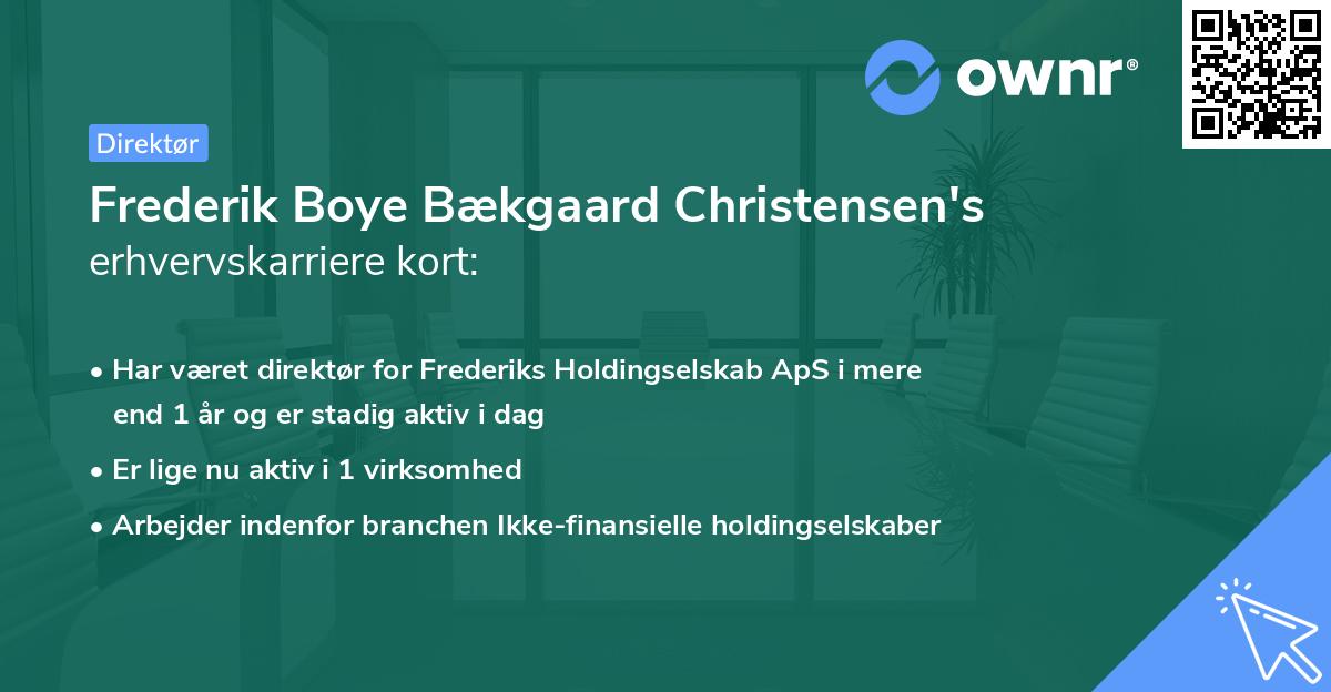 Frederik Boye Bækgaard Christensen's erhvervskarriere kort