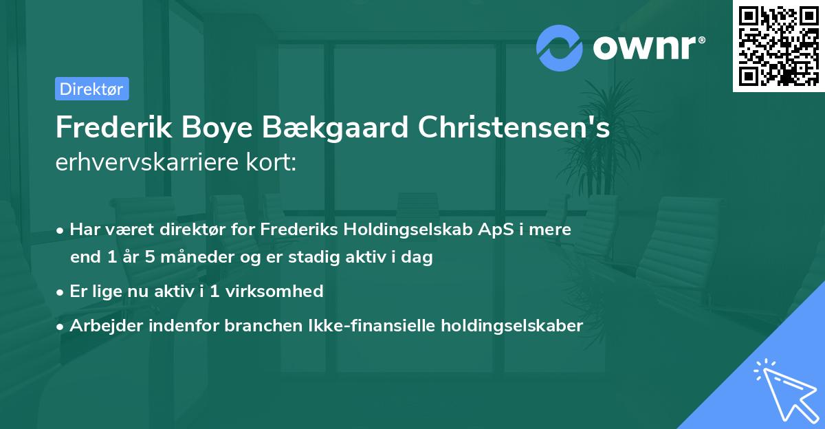 Frederik Boye Bækgaard Christensen's erhvervskarriere kort