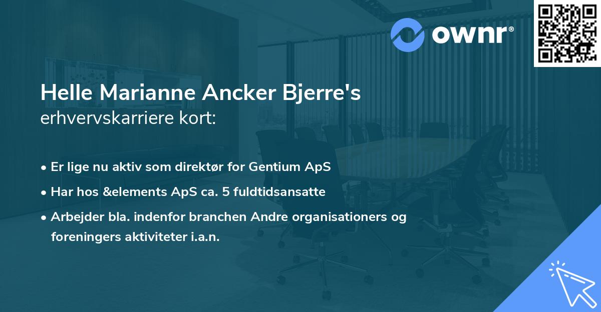Helle Marianne Ancker Bjerre's erhvervskarriere kort