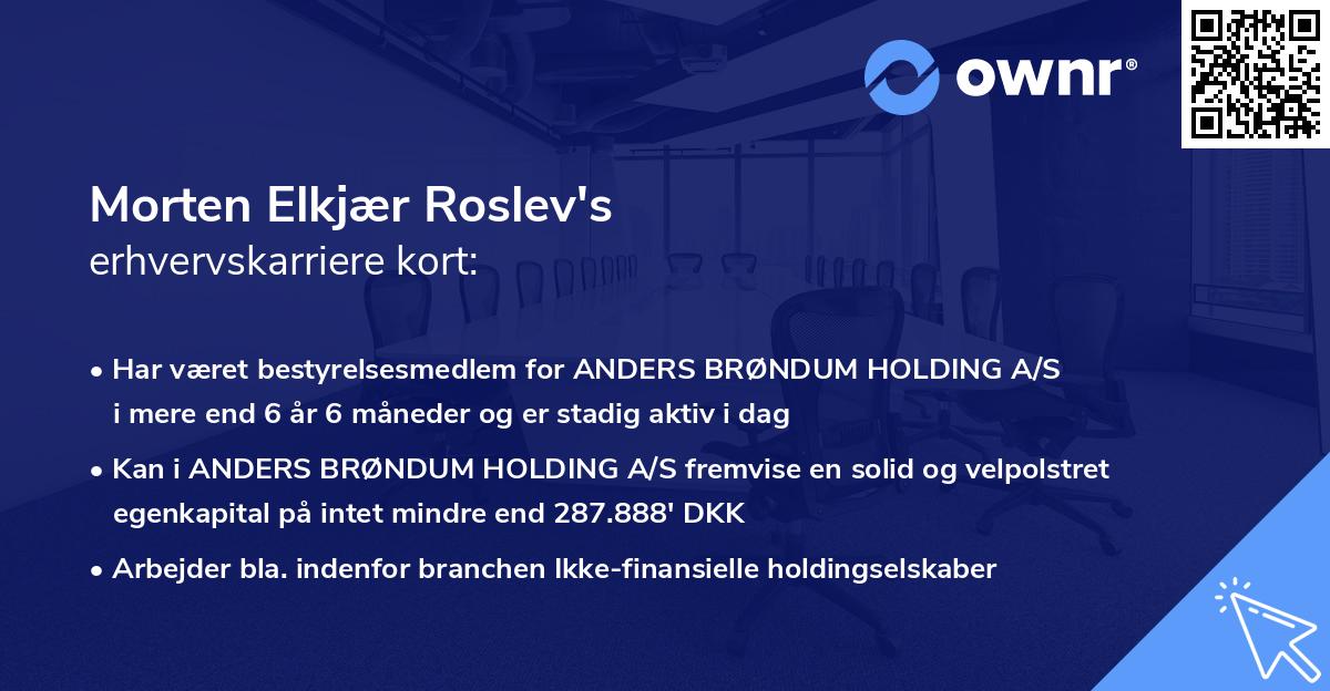 Morten Elkjær Roslev's erhvervskarriere kort