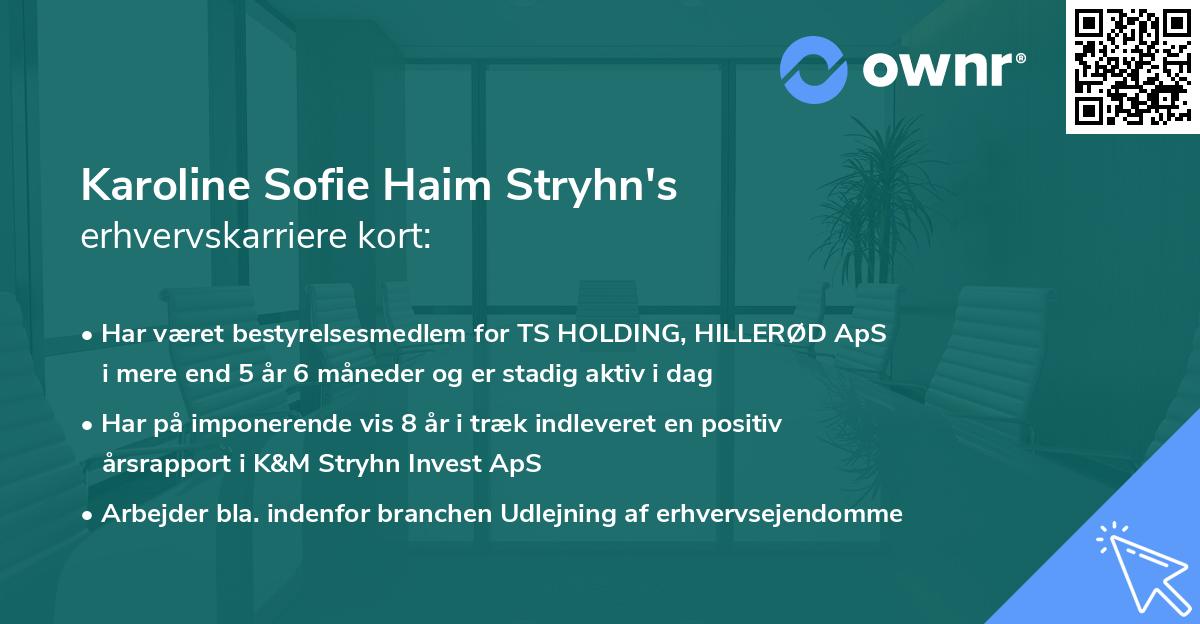 Karoline Sofie Haim Stryhn's erhvervskarriere kort