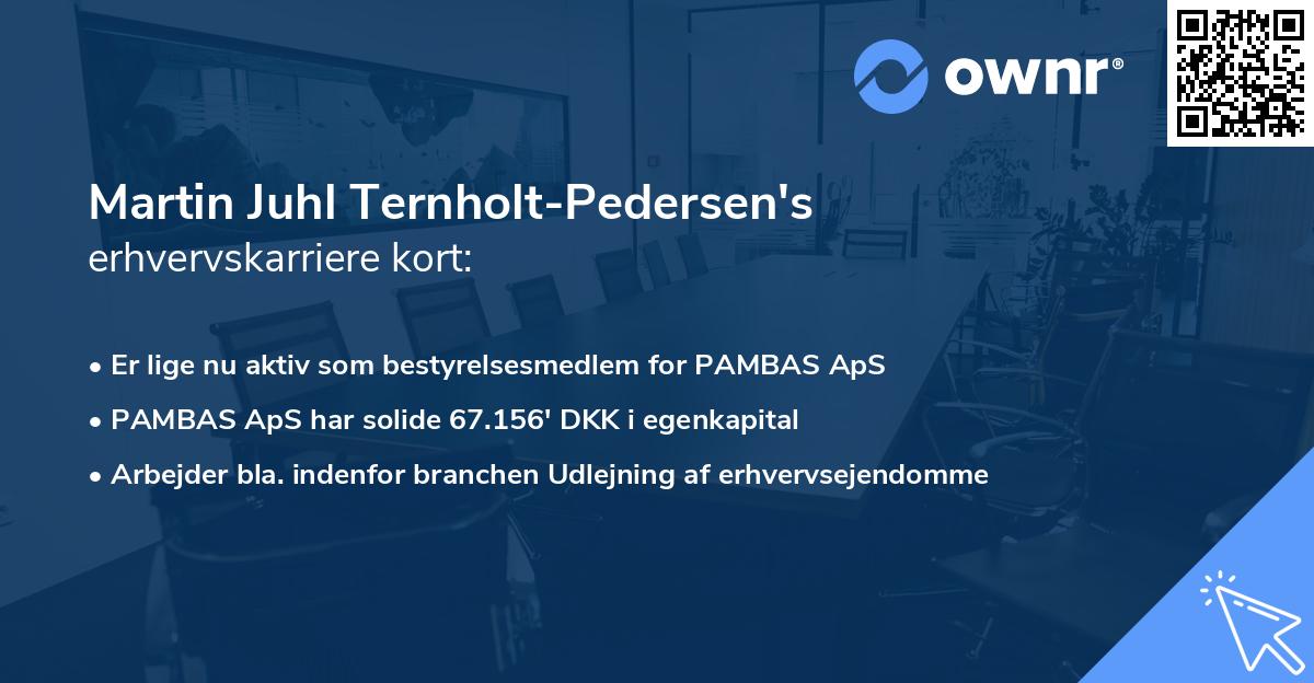 Martin Juhl Ternholt-Pedersen's erhvervskarriere kort