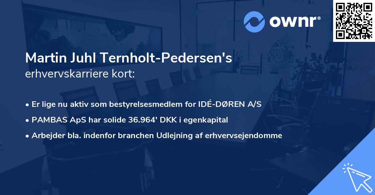 Martin Juhl Ternholt-Pedersen's erhvervskarriere kort