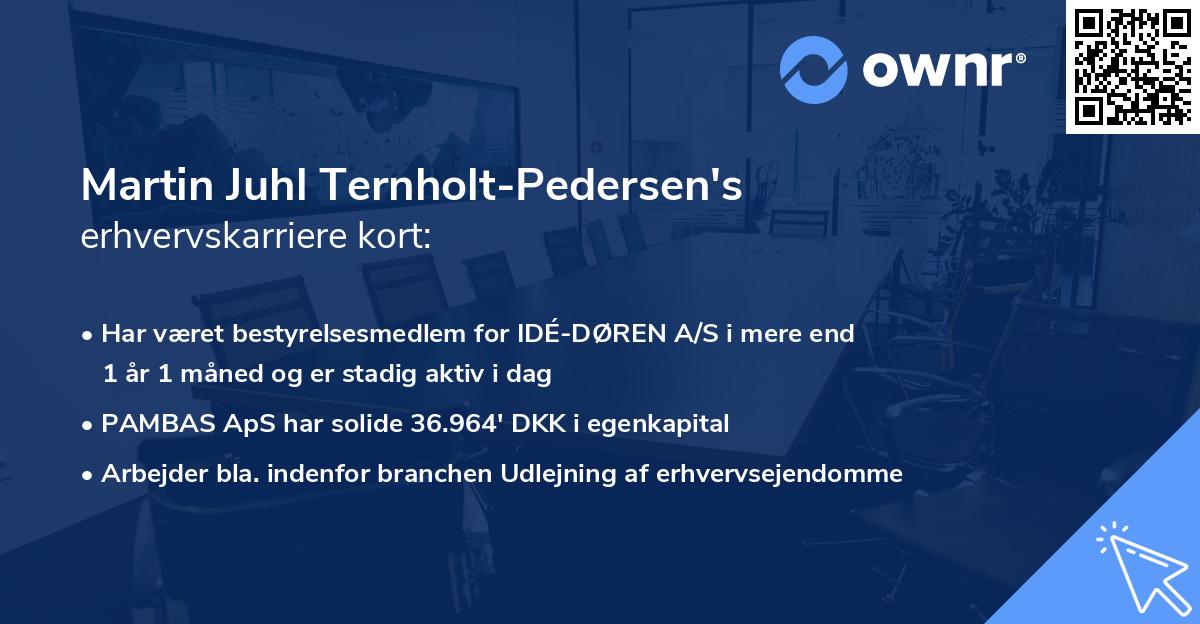 Martin Juhl Ternholt-Pedersen's erhvervskarriere kort
