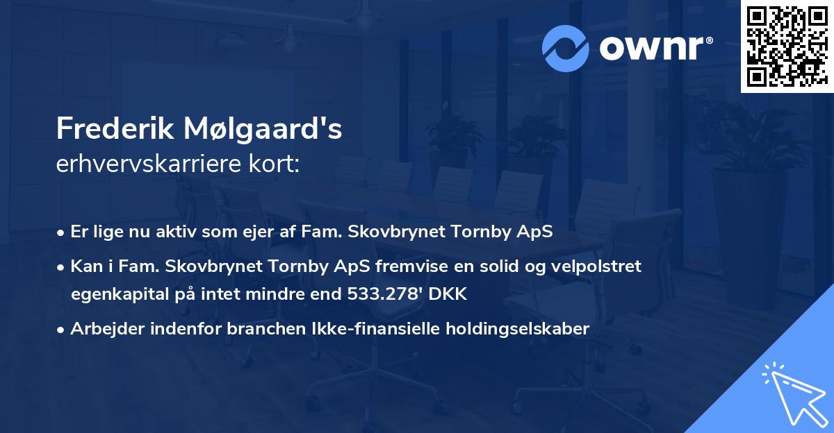 Frederik Mølgaard's erhvervskarriere kort