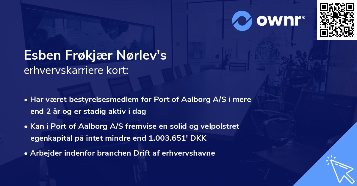 Esben Frøkjær Nørlev's erhvervskarriere kort