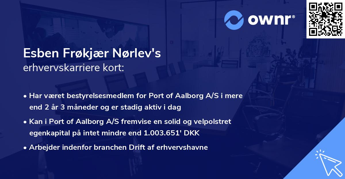 Esben Frøkjær Nørlev's erhvervskarriere kort