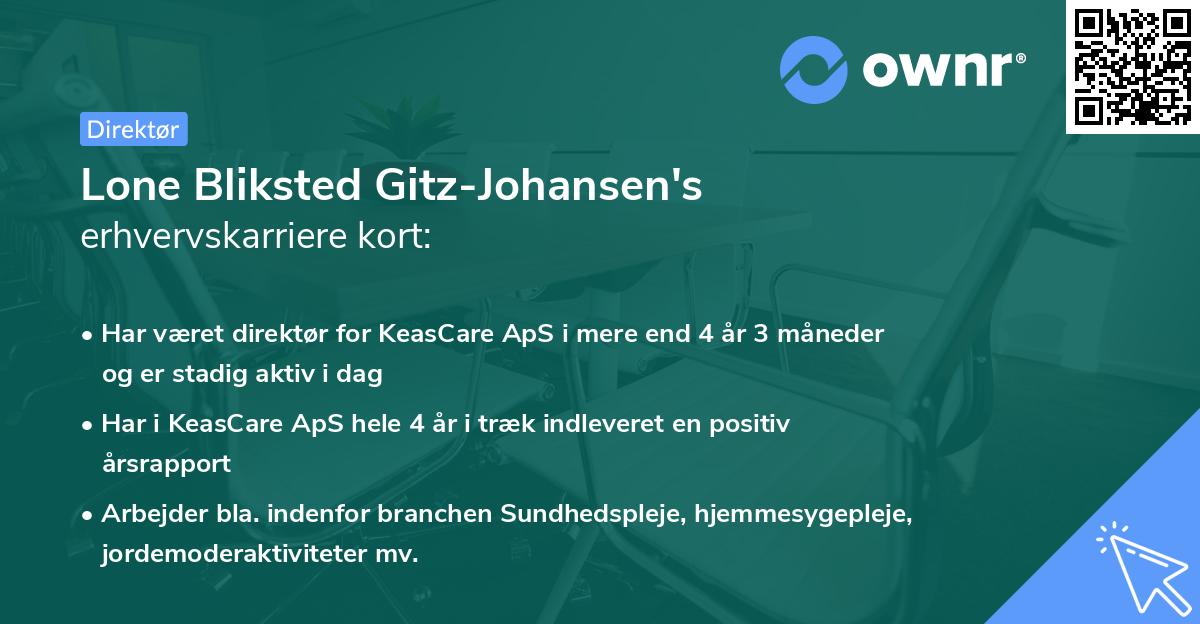 Lone Bliksted Gitz-Johansen's erhvervskarriere kort