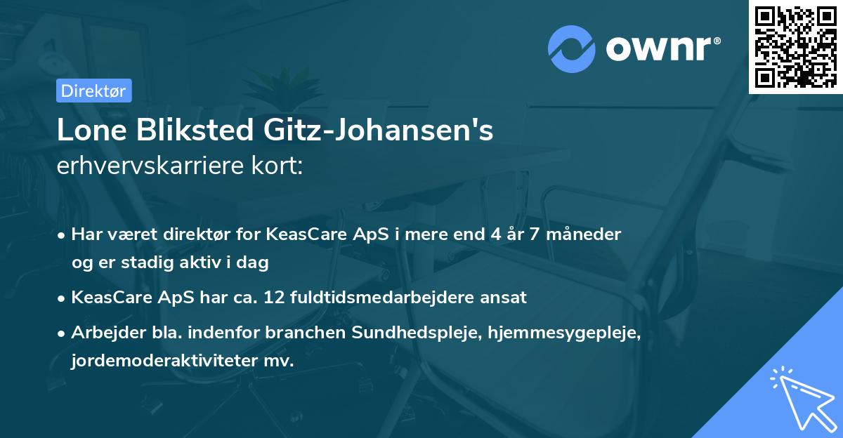 Lone Bliksted Gitz-Johansen's erhvervskarriere kort