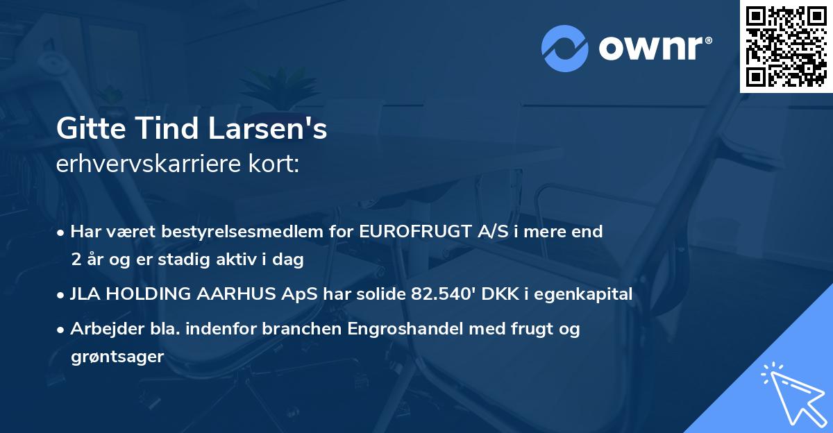 Gitte Tind Larsen's erhvervskarriere kort