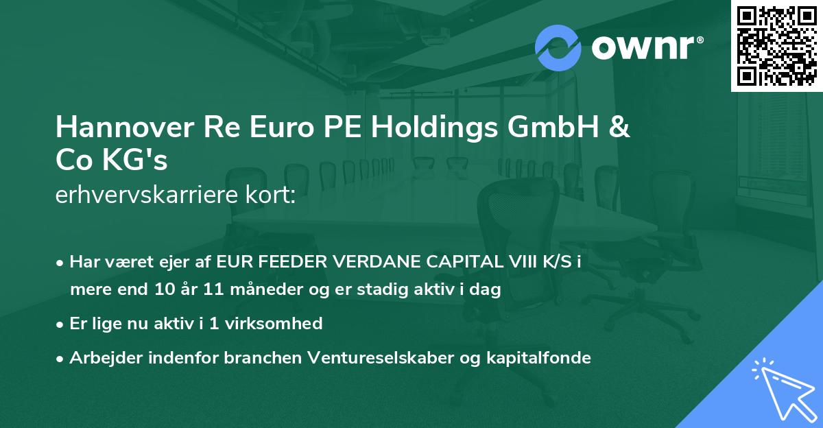 Hannover Re Euro PE Holdings GmbH & Co KG's erhvervskarriere kort