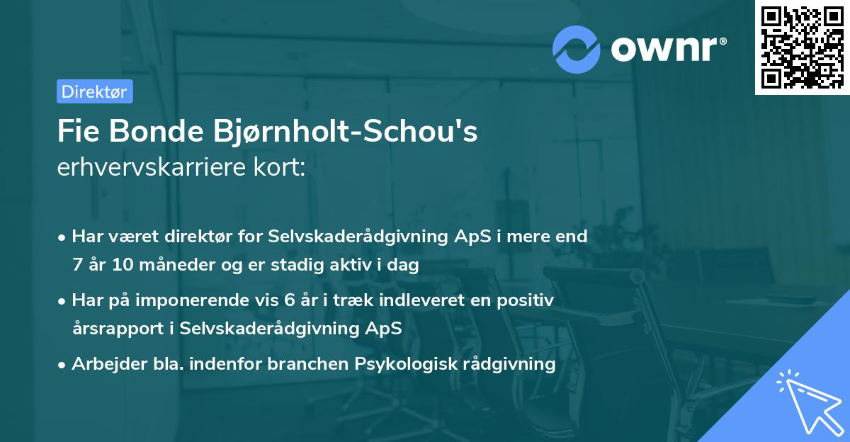 Fie Bonde Bjørnholt-Schou's erhvervskarriere kort