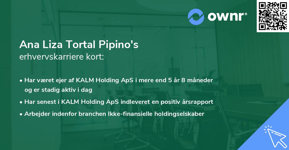 Ana Liza Tortal Pipino's erhvervskarriere kort
