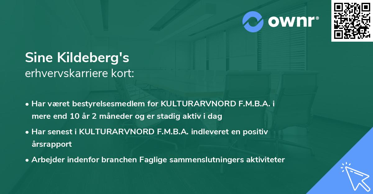 Sine Kildeberg's erhvervskarriere kort