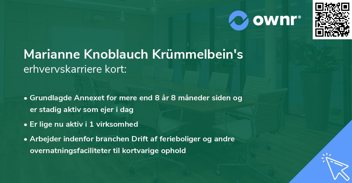 Marianne Knoblauch Krümmelbein's erhvervskarriere kort
