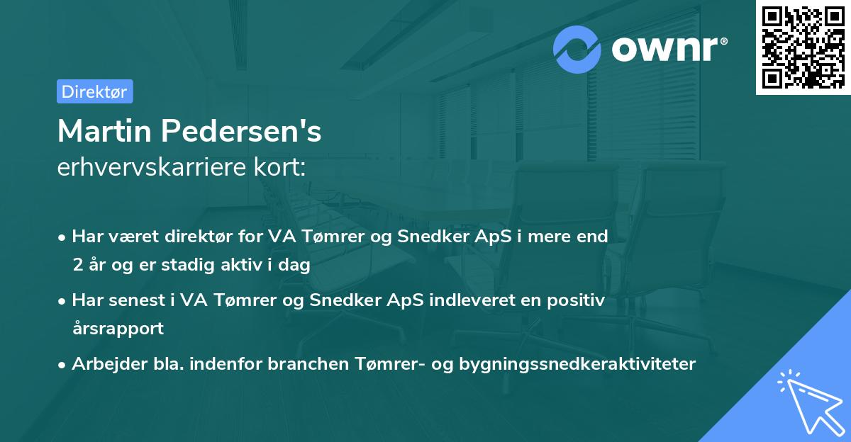 Martin Pedersen's erhvervskarriere kort