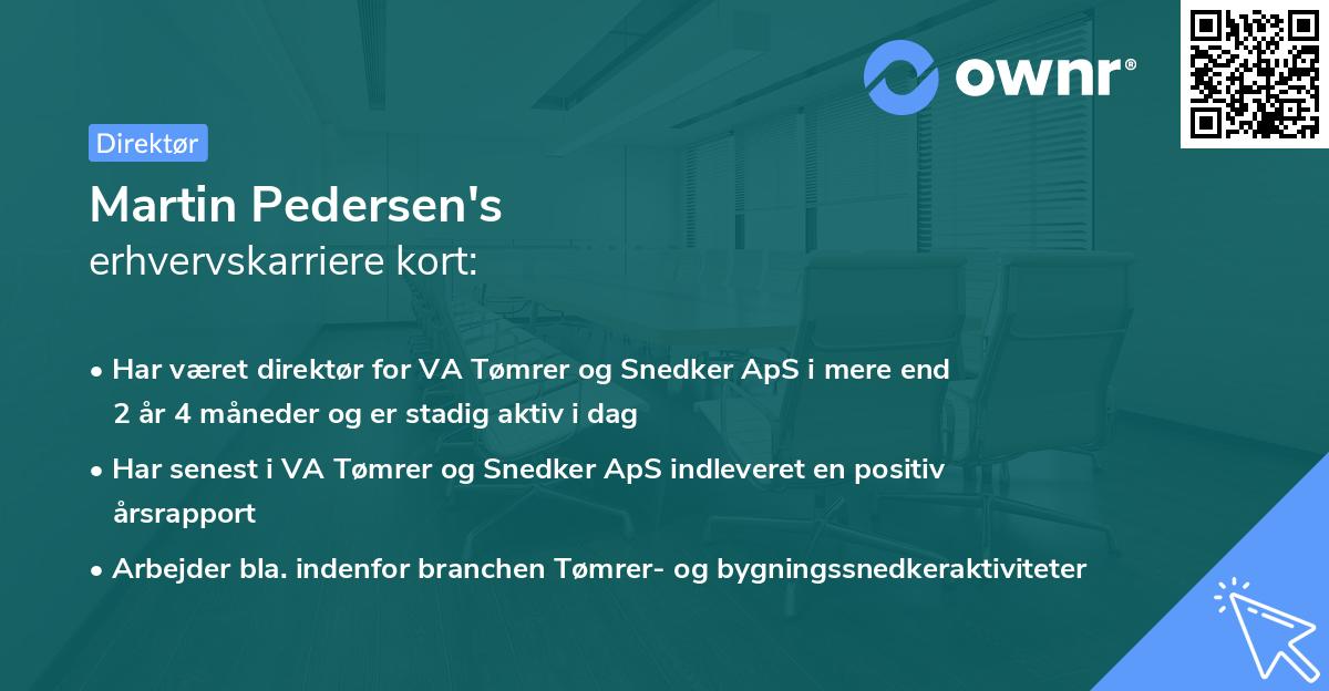 Martin Pedersen's erhvervskarriere kort