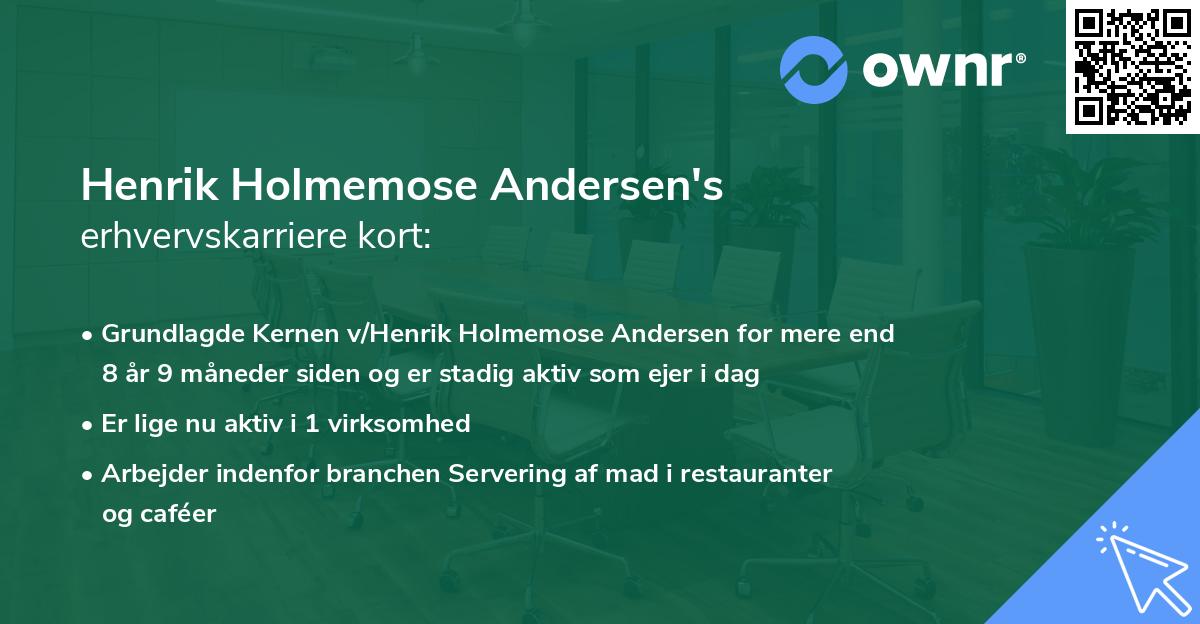 Henrik Holmemose Andersen's erhvervskarriere kort