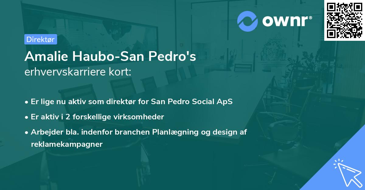 Amalie Haubo-San Pedro's erhvervskarriere kort