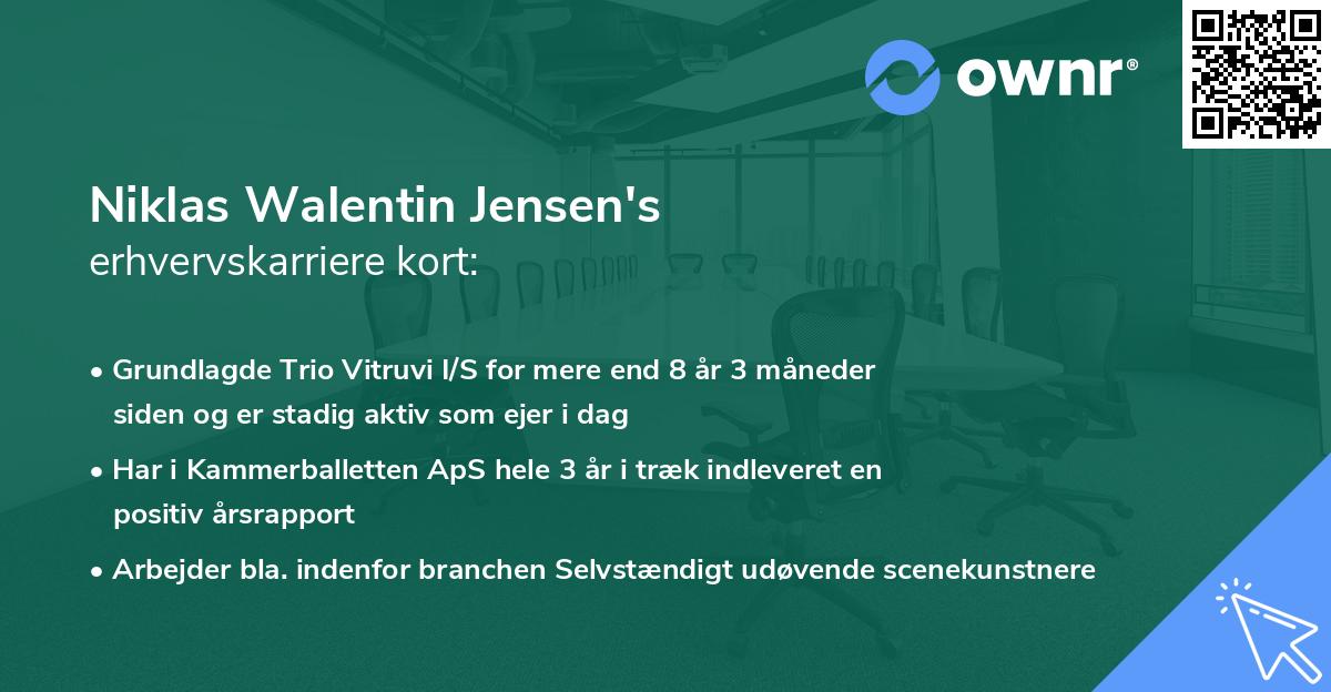 Niklas Walentin Jensen's erhvervskarriere kort