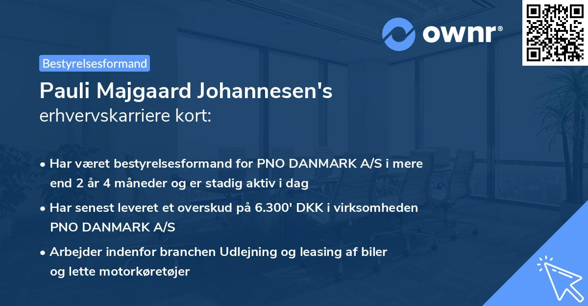 Pauli Majgaard Johannesen's erhvervskarriere kort