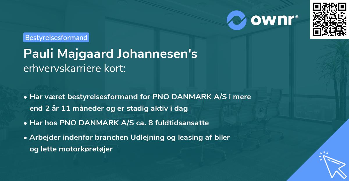 Pauli Majgaard Johannesen's erhvervskarriere kort