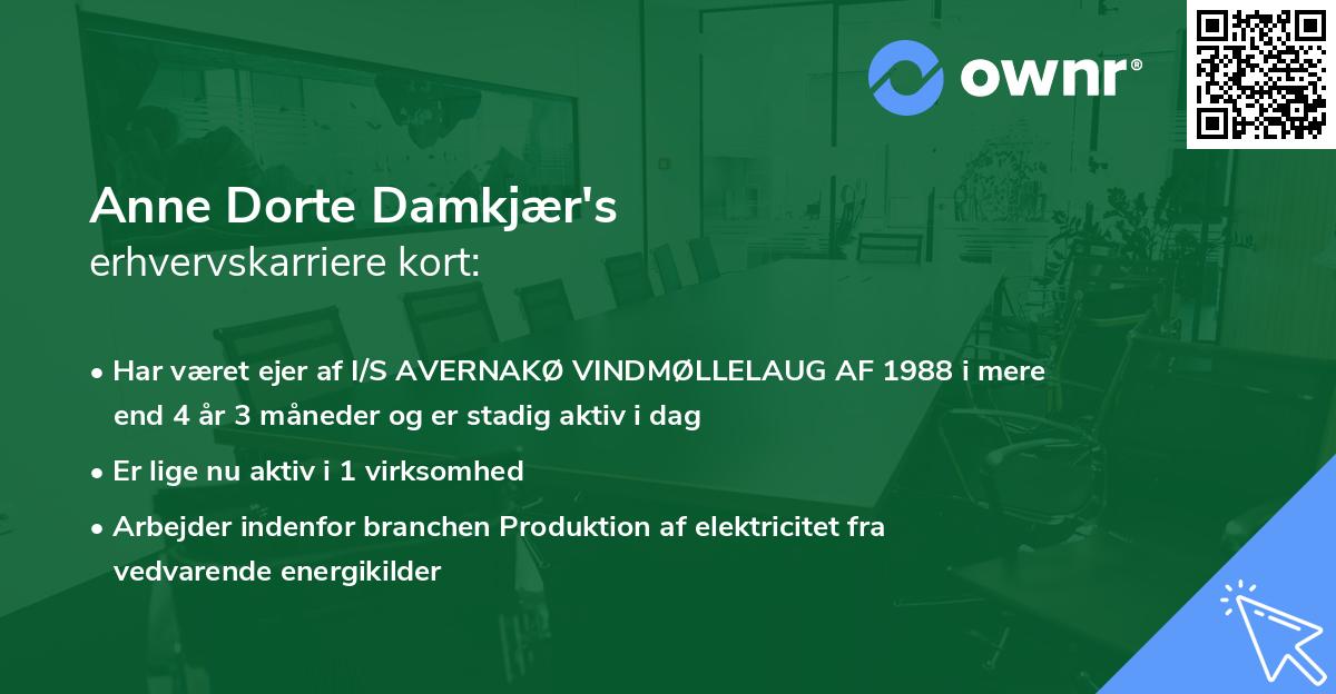 Anne Dorte Damkjær's erhvervskarriere kort