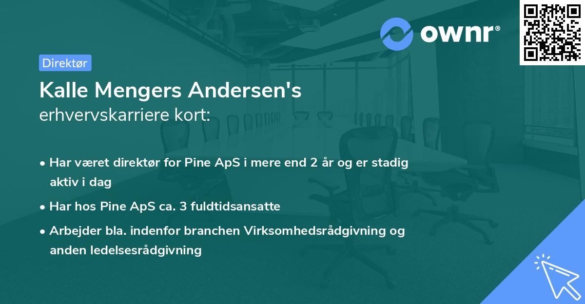 Kalle Mengers Andersen's erhvervskarriere kort