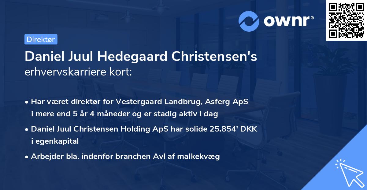 Daniel Juul Hedegaard Christensen's erhvervskarriere kort
