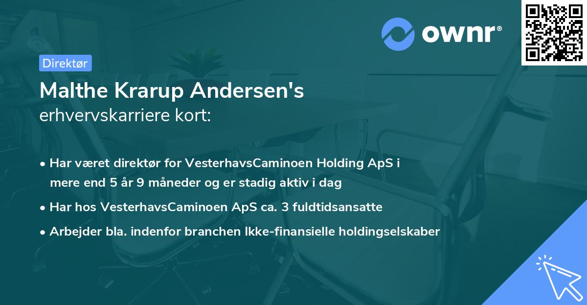 Malthe Krarup Andersen's erhvervskarriere kort