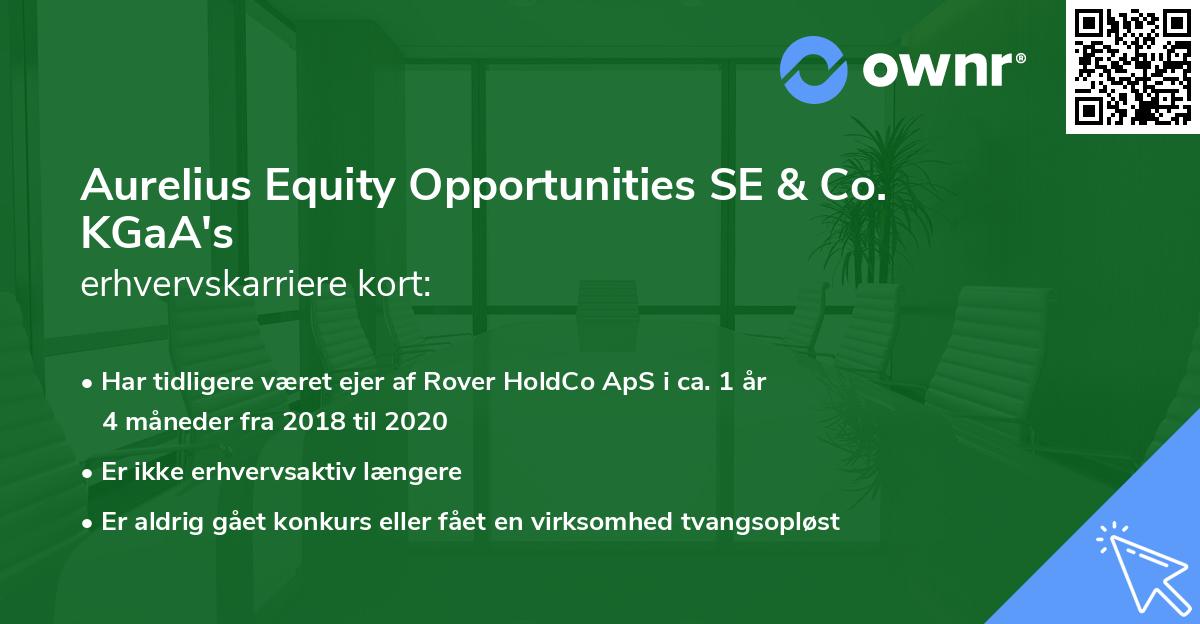 Aurelius Equity Opportunities SE & Co. KGaA's erhvervskarriere kort
