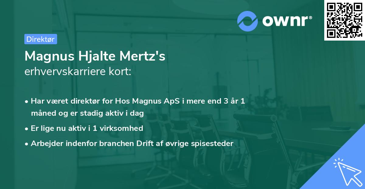 Magnus Hjalte Mertz's erhvervskarriere kort