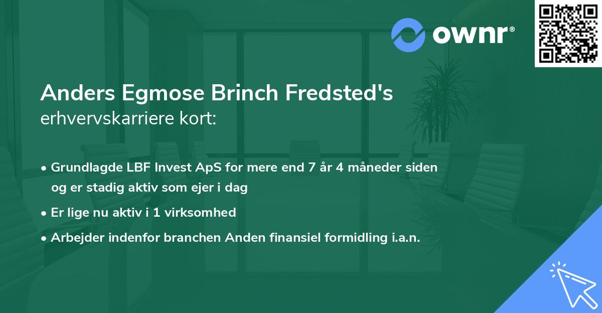 Anders Egmose Brinch Fredsted's erhvervskarriere kort