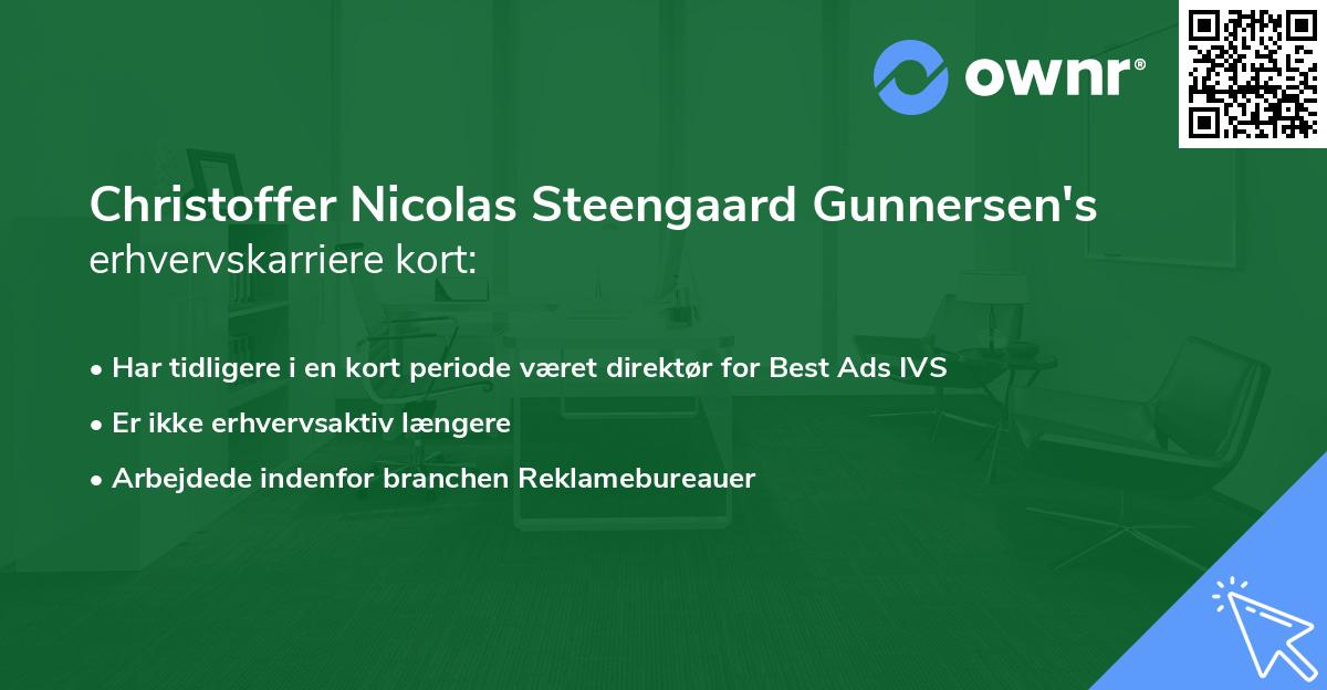 Christoffer Nicolas Steengaard Gunnersen's erhvervskarriere kort